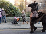 The Boy who Fancied Pantomime Horses