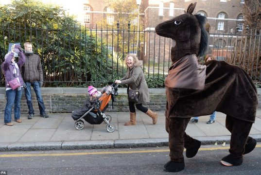 The Boy who Fancied Pantomime Horses