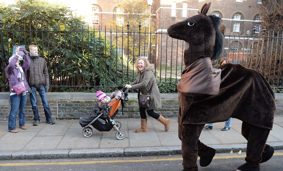 The Boy who Fancied Pantomime Horses