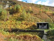 Troedyrhiw memories