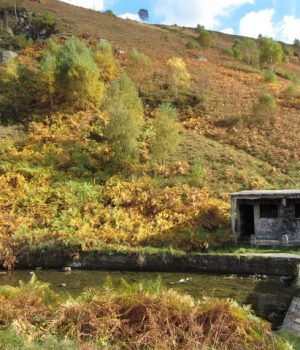 Troedyrhiw memories