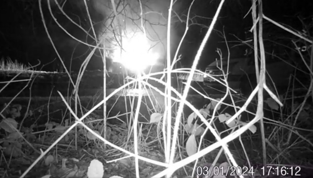 Fly-Tipping & Burning