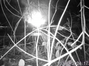 Fly-Tipping & Burning