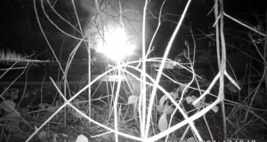 Fly-Tipping & Burning