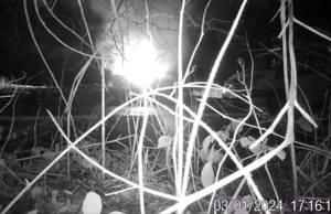 Fly-Tipping & Burning