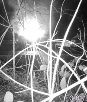 Fly-Tipping & Burning