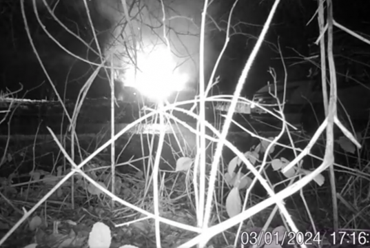 Fly-Tipping & Burning