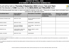 By-Election in the Bedlinog and Trelewis Ward