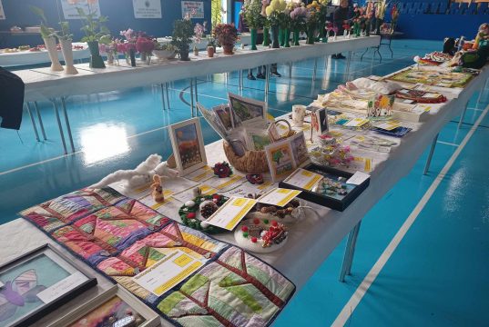 The Merthyr Tydfil Horticultural Show 2024