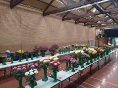 73rd Annual Late Show