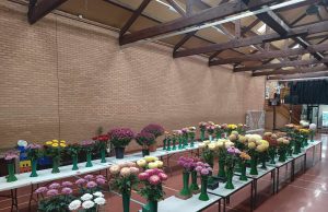 73rd Annual Late Show