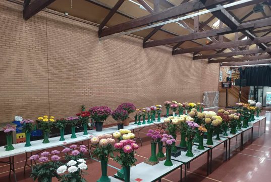 73rd Annual Late Show